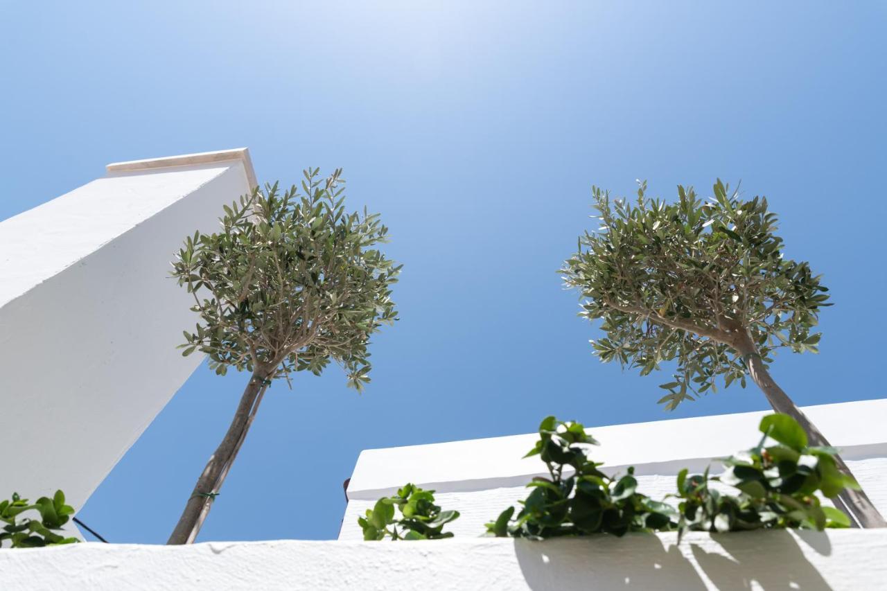 Appartement Kaminos Boutique *